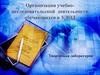 Организация учебно-исследовательской деятельности обучающихся в УДОД
