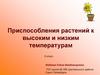 Приспособления растений к высоким и низким температурам