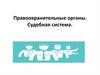 Правоохранительные органы. Судебная система