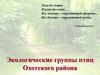 Экологические группы птиц Охотского района
