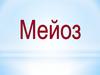 Мейоз - особый вид деления клетки, при котором число хромосом в дочерних клетках становится гаплоидным