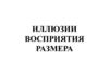 Иллюзии восприятия размера
