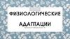 Физиологические адаптации. Накопление жира