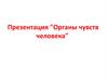 Органы чувств человека