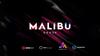 Группа компаний «Малибу» - объединение компаний