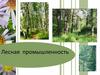 Лесная промышленность России  (9 класс)