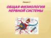 Общая физиология нервной системы. Лекция 3