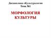 Морфология культуры. Лекция №1
