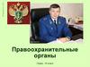 Правоохранительные органы
