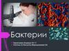 Бактерии. Открытие бактерий