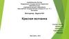 Красная волчанка. Биотурнир