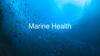 Marine Health. Конкурентные преимущества MHG