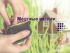 Местные налоги и сборы