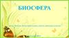Биосфера