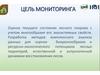 Цель мониторинга. Лекция 3