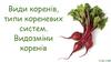 Види коренів, типи кореневих систем. Видозміни коренів