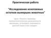 Исследование ископаемых остатков вымерших животных