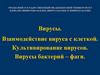 Вирусы. Взаимодействие вируса с клеткой. Культивирование вирусов. Вирусы бактерий – фаги