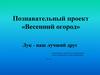Познавательный проект «Весенний огород». Лук - наш лучший друг