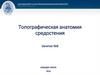 Топографическая анатомия средостения. Занятие №8