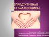 Репродуктивная система женщины
