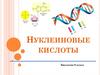 Нуклеиновые кислоты. Биология. 9 класс
