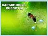 Карбоновые кислоты - органические соединения, содержащие в своем составе одну или несколько карбоксильных групп
