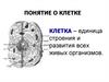 Цитология. Классификация клеток. Клеточная теория