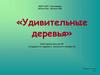 Викторина «Удивительные деревья»