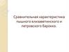 Сравнительная характеристика пышного елизаветинского и петровского барокко