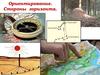 Ориентирование. Стороны горизонта