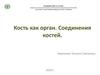 Кость как орган. Соединения костей