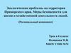 Экологические проблемы на территории Приморского края. Меры безопасности для жизни и хозяйственной деятельности людей