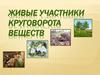 Живые участники круговорота веществ