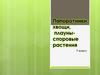 Папоротники, хвощи, плауны. Споровые растения. 7 класс
