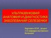 Ультразвуковая анатомия и диагностика заболеваний селезенки