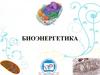 Биоэнергетика