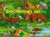 Экосистема - лес