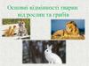 Основні відмінності тварин від рослин та грибів