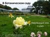 В ботаническом саду