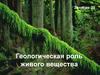 Геологическая роль живого вещества. Занятие 29