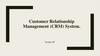 Customer Relationship Management (CRM) System. Lecture №5