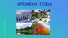 Времена года
