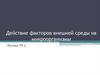 Действие факторов внешней среды на микроорганизмы. Лекция №5