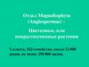 Отдел Magnoliophyta (Angiospermae) - Цветковые, или покрытосеменные растения