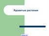 Ядовитые растения. Самое лучшее средство защиты от ядовитых растений