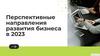 Перспективные направления развития бизнеса в 2023 году