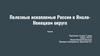 Полезные ископаемые России в Ямало-Ненецком округе