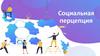 Социальная перцепция
