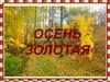 Золотая осень (средняя группа)
